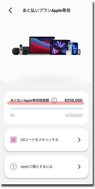 ペイディあと払いプランApple専用
