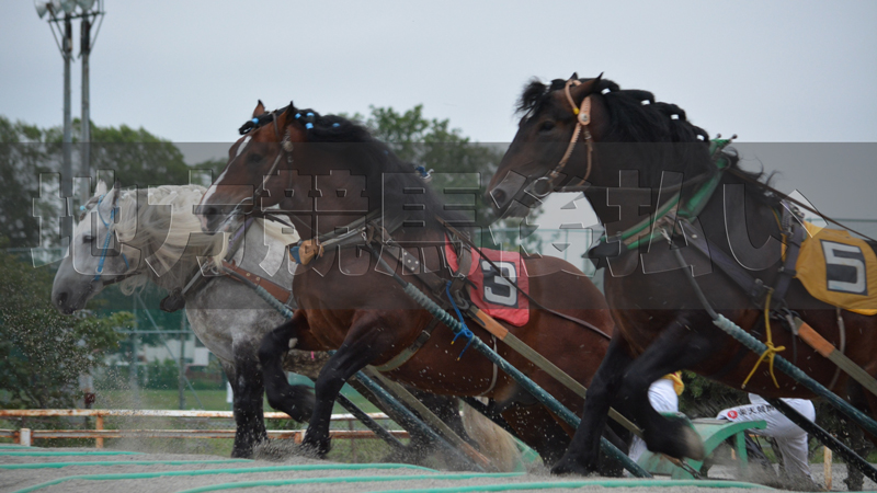 地方競馬で後払いできる投票サイト