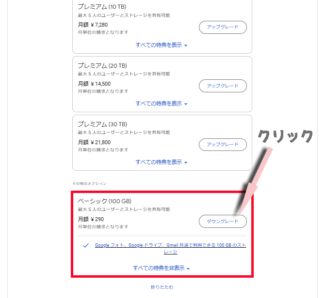 その他のオプションでベーシック100GB（ダウングレード）を選択