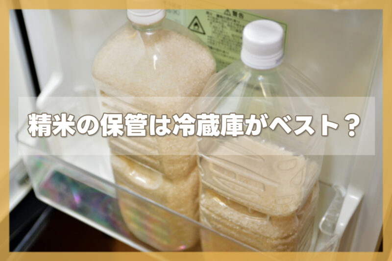 冷蔵庫の野菜室がベスト!?密閉容器での保存方法