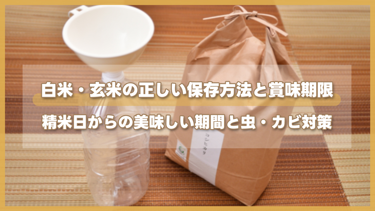 白米・玄米の正しい保存方法と賞味期限｜精米日からの美味しい期間と虫・カビ対策