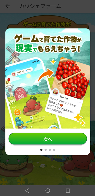 画像を確認して「次へ」をタップしていく