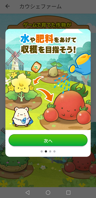 画像を確認して「次へ」をタップしていく