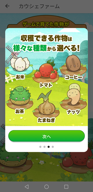 画像を確認して「次へ」をタップしていく