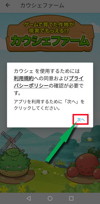 規約やプライバシーポリシーを確認して「次へ」をタップ