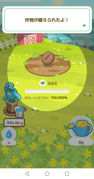 バケツに水をくんでジョウロの水を種にあげる