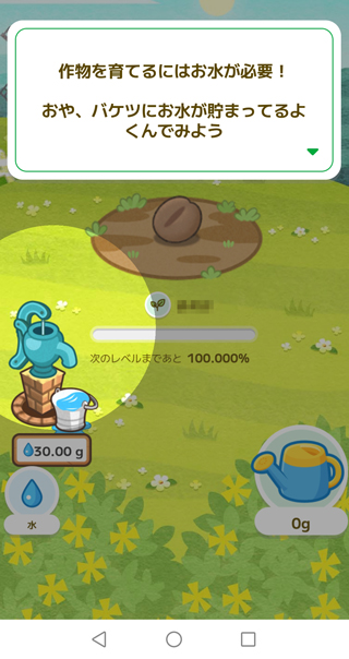 バケツに水をくんでジョウロの水を種にあげる