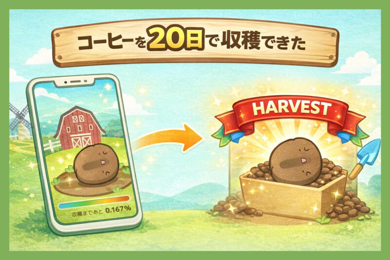 コーヒーを20日で収穫できた手順と実際にやったこと